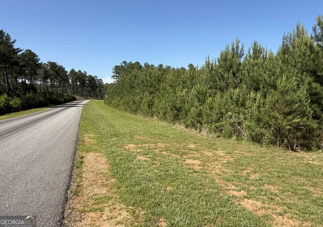 2nd image of Lot 228 The Cove At Thirteen Hundred, Blairsville, GA 30512 | MLS# 10505457