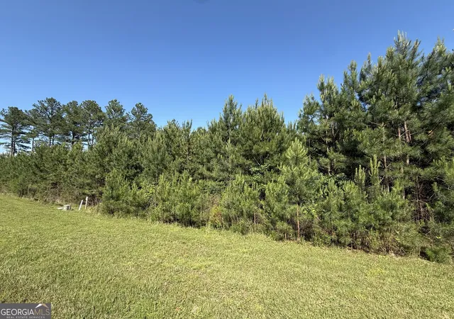 Photo 3 of Land for sale at Lot 228 The Cove At Thirteen Hundred, Blairsville, GA 30512 | MLS# 10505457 | Listing updated on 2026-07-02