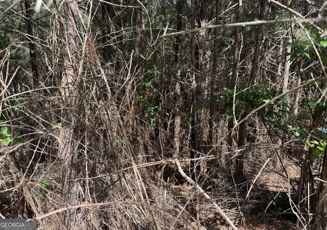 Photo 4 of Land for sale at Lot 228 The Cove At Thirteen Hundred, Blairsville, GA 30512 | MLS# 10505457 | Listing updated on 2026-10-08