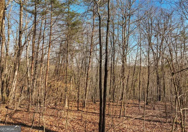 1st image of Lot 9 Mount Mincie Rd, Murrayville, GA 30564 | MLS# 10823135