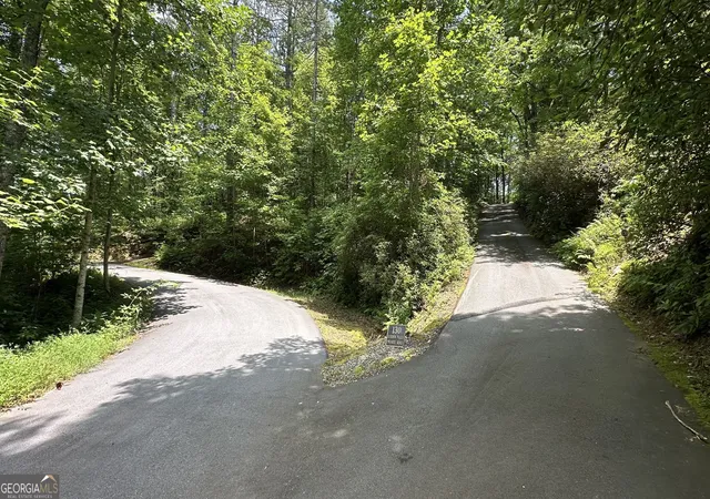 14th image of 0 Hidden Falls Dr #LOT 3, Tiger, GA 30576 | MLS# 10795886