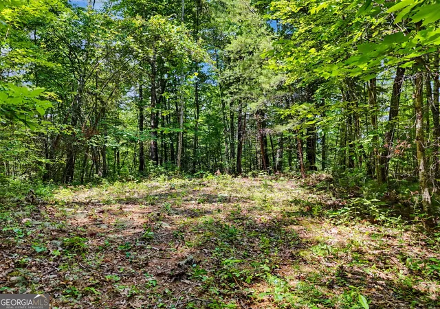 1st image of 0 Hidden Falls Dr #LOT 3, Tiger, GA 30576 | MLS# 10795886