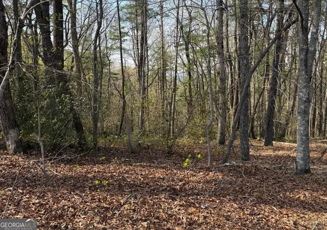 Land for sale at 552 Long Laurel Ridge 6.65 Acres #6.65 ACRES, Lakemont, GA 30552 | MLS# 10729356