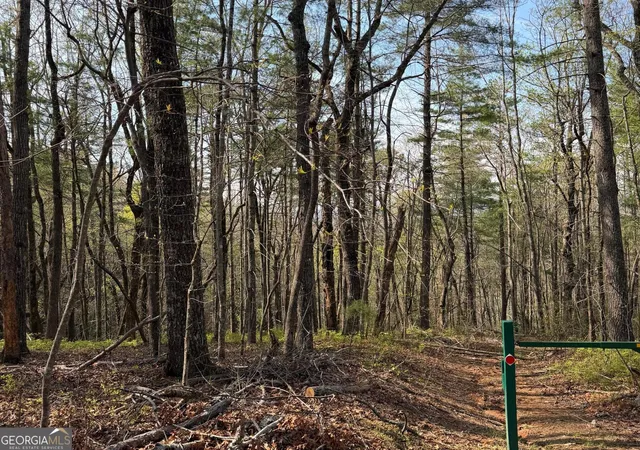 Photo 3 of Land for sale at 552 Long Laurel Ridge 665 Acres #6.65 ACRES, Lakemont, GA 30552 | MLS# 10729356 | Listing updated on 2026-09-08