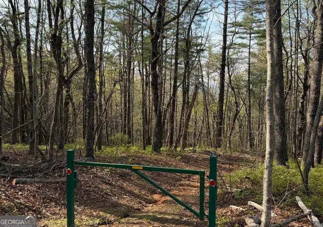 Photo 3 of Land for sale at 552 Long Laurel Ridge 665 Acres #6.65 ACRES, Lakemont, GA 30552 | MLS# 10729356 | Listing updated on 2026-09-08