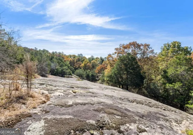 22nd image of 7790 Atlanta Newnan Rd, Palmetto, GA 30268 | MLS# 10820822