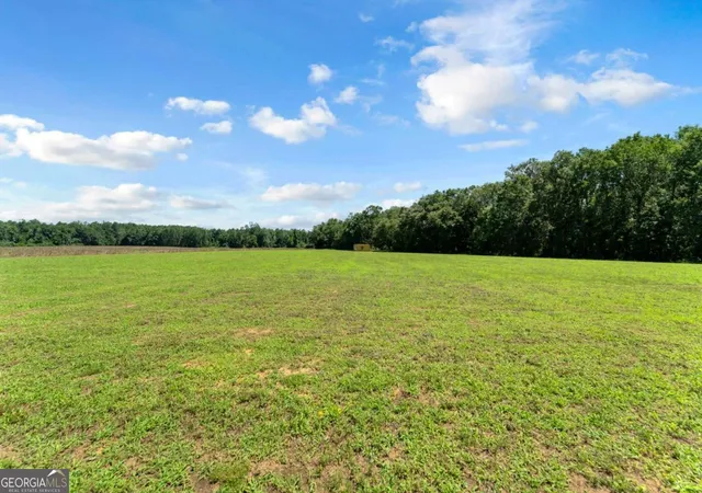 Homes for sale in Register, GA | 2997 Jason Franklin Rd, Register, GA 30452 | MLS# 10792530