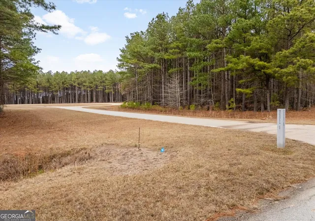 3rd image of 1325 Magnolia Ct, Tignall, GA 30668 | MLS# 10823968