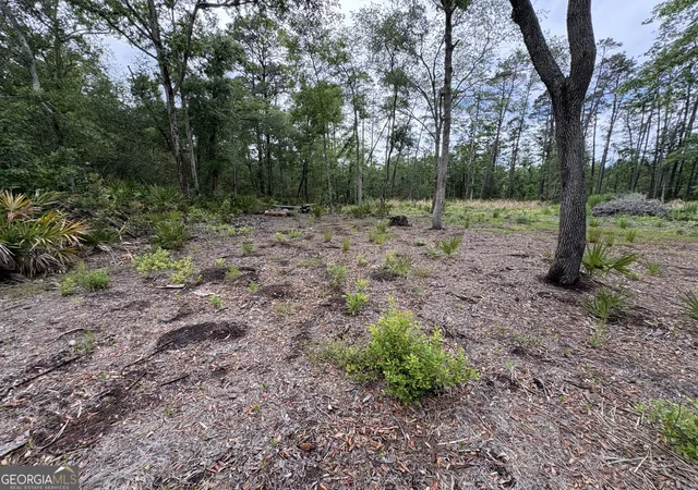 Homes for sale in Waverly, GA | 0 Piney Bluff Lot 5 Rd, Waverly, GA 31565 | MLS# 10762385