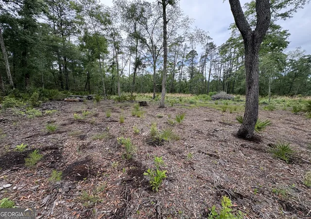 Homes for sale in Waverly, GA | 0 Piney Bluff Lot 5 Rd, Waverly, GA 31565 | MLS# 10762385