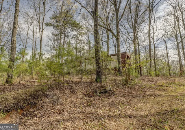 Homes for sale in Tallapoosa, GA | 3585 Old Hwy 100 S, Tallapoosa, GA 30176 | MLS# 10726150