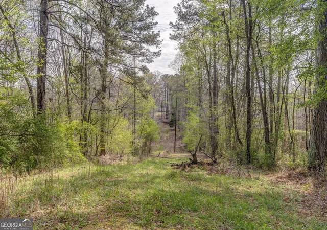Homes for sale in Tallapoosa, GA | 3585 Old Hwy 100 S, Tallapoosa, GA 30176 | MLS# 10726150