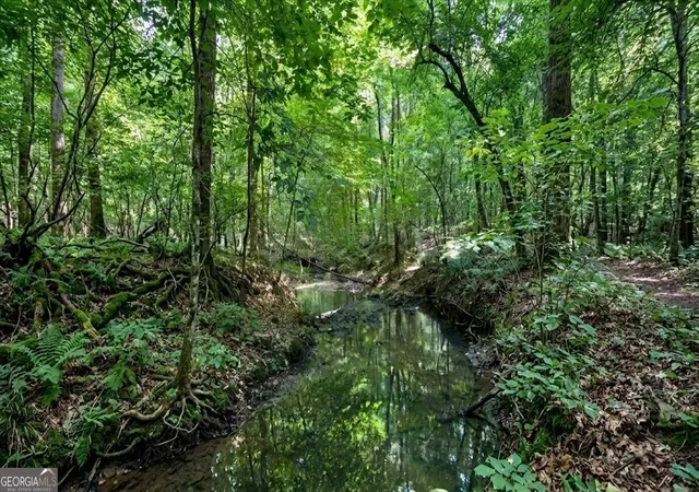 image of 308 Pitts Chapel Rd, Newborn, GA 30056 | MLS# 10817323