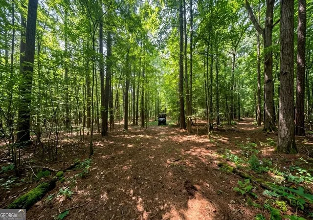 image of 308 Pitts Chapel Rd, Newborn, GA 30056 | MLS# 10817323