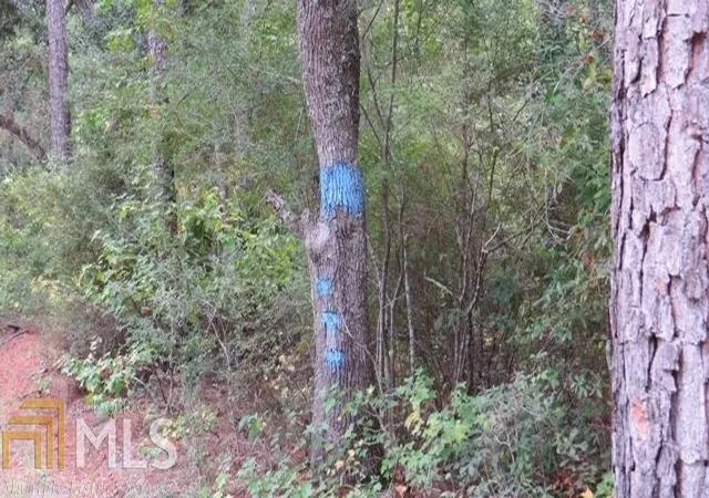 Photo 4 of House for sale at 0 Area Line Rd, Glennville, GA 30427 | MLS# 10739318 | Listing updated on 2026-05-07
