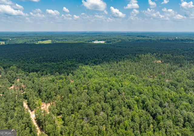 Homes for sale in Crawford, GA | 557 Faust Farm Rd, Crawford, GA 30630 | MLS# 10800223
