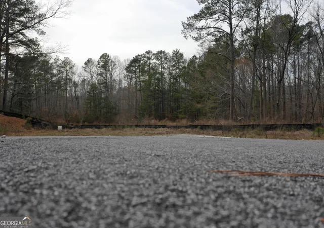 24th image of 0 Sw Union Church Rd, Stockbridge, GA 30281 | MLS# 10702581