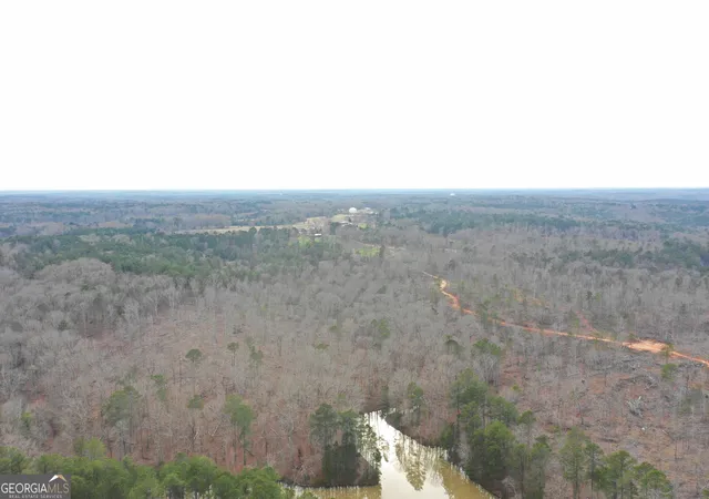 2nd image of 0 Sw Union Church Rd, Stockbridge, GA 30281 | MLS# 10702581