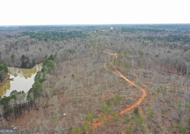 4th image of 0 Sw Union Church Rd, Stockbridge, GA 30281 | MLS# 10702581