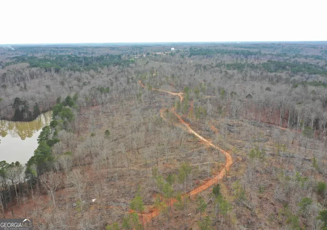 5th image of 0 Sw Union Church Rd, Stockbridge, GA 30281 | MLS# 10702581