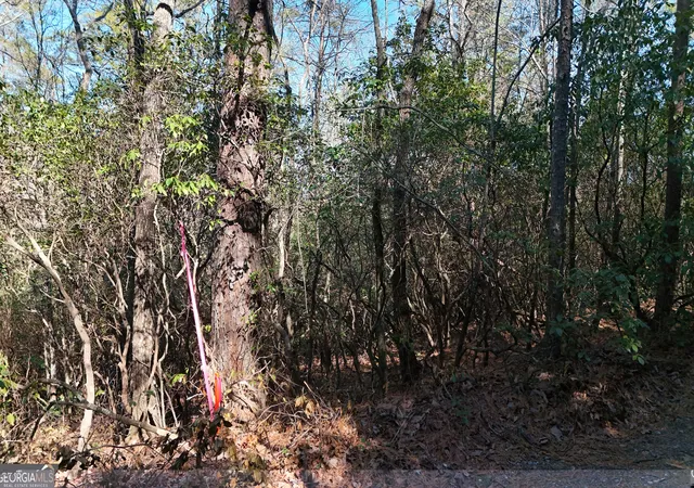 1st image of Lot 2 Crumley Creek Rd, Sautee Nacoochee, GA 30571 | MLS# 10815158