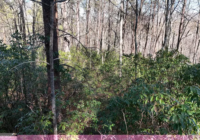 3rd image of Lot 2 Crumley Creek Rd, Sautee Nacoochee, GA 30571 | MLS# 10815158