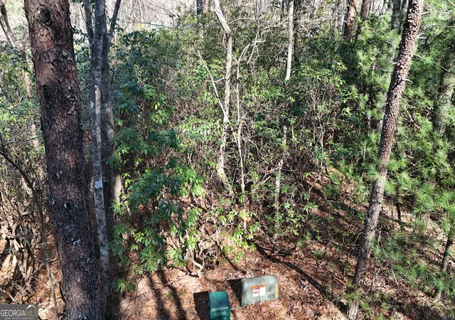 4th image of Lot 2 Crumley Creek Rd, Sautee Nacoochee, GA 30571 | MLS# 10815158