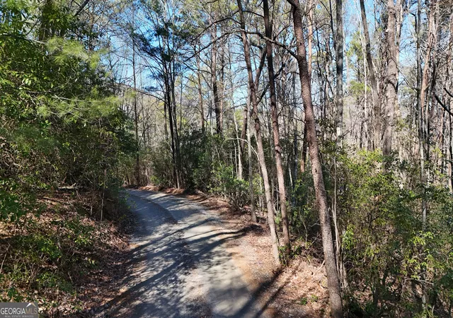5th image of Lot 2 Crumley Creek Rd, Sautee Nacoochee, GA 30571 | MLS# 10815158