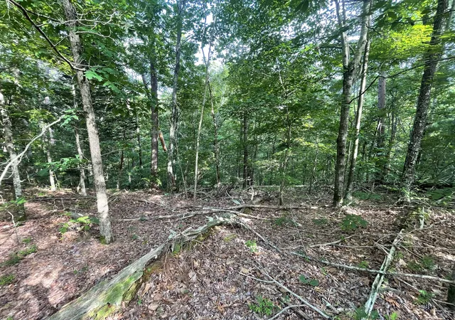 Photo 1 of Sale Pending at 88 Muslin Dr Ne, Ranger, GA 30734 | MLS# 10182263 | Listing updated on 2026-01-29
