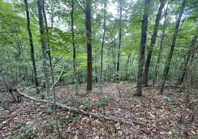 Photo 3 of Sale Pending at 88 Muslin Dr Ne, Ranger, GA 30734 | MLS# 10182263 | Listing updated on 2026-01-29