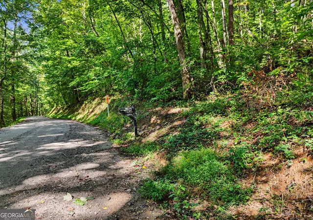 21st image of 417 Kelly Mountain Rd, Clarkesville, GA 30523 | MLS# 10829753