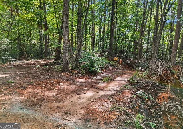 Photo 3 of Land for sale at 417 Kelly Mountain Rd, Clarkesville, GA 30523 | MLS# 10829753 | Listing updated on 2026-09-09