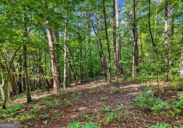 Photo 4 of Land for sale at 417 Kelly Mountain Rd, Clarkesville, GA 30523 | MLS# 10829753 | Listing updated on 2026-09-09