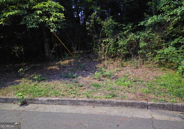 1st image of 0 Lake Esther Dr, Fairburn, GA 30213 | MLS# 10822249
