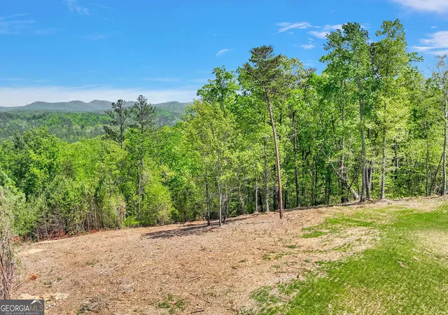 1st image of 655 Lookout Valley Trl, Talking Rock, GA 30175 | MLS# 10642334