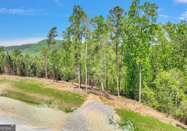 2nd image of 655 Lookout Valley Trl, Talking Rock, GA 30175 | MLS# 10642334
