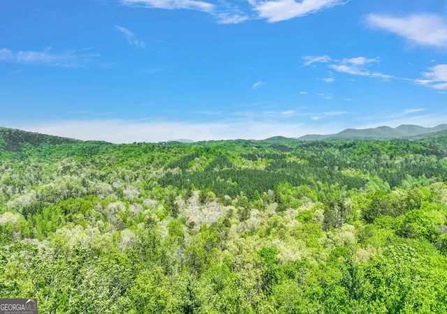 3rd image of 655 Lookout Valley Trl, Talking Rock, GA 30175 | MLS# 10642334