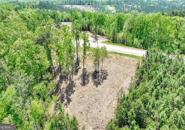 4th image of 655 Lookout Valley Trl, Talking Rock, GA 30175 | MLS# 10642334