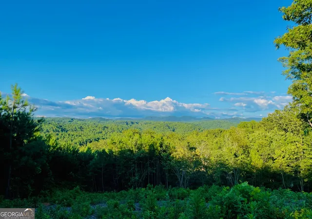 5th image of 655 Lookout Valley Trl, Talking Rock, GA 30175 | MLS# 10642334