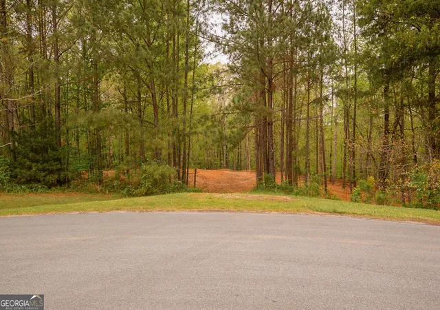 1st image of 0 River Overlook, Forsyth, GA 31029 | MLS# 10730021