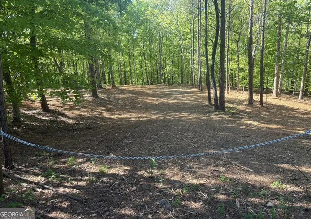 23rd image of 0 River Overlook, Forsyth, GA 31029 | MLS# 10730021