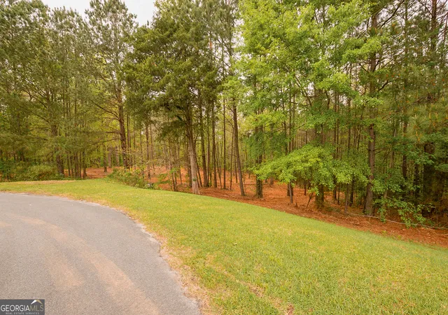 3rd image of 0 River Overlook, Forsyth, GA 31029 | MLS# 10730021