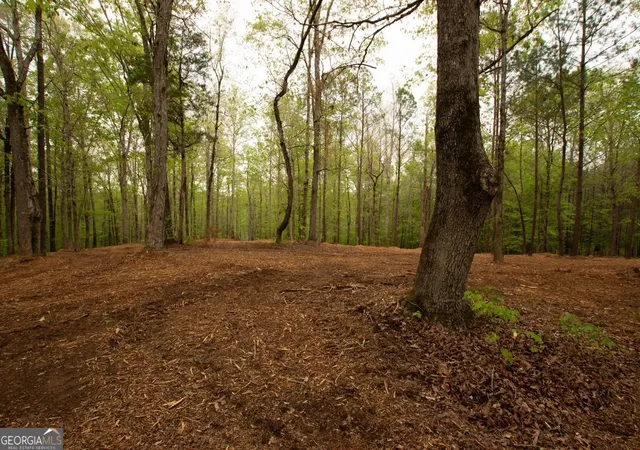 4th image of 0 River Overlook, Forsyth, GA 31029 | MLS# 10730021