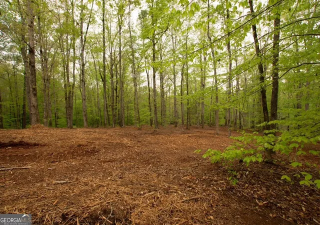 5th image of 0 River Overlook, Forsyth, GA 31029 | MLS# 10730021