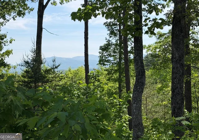 Photo 1 of Land for sale at Lot 31 Summit View Ln, Ellijay, GA 30540 | MLS# 10756806 | Listing updated on 2026-10-15