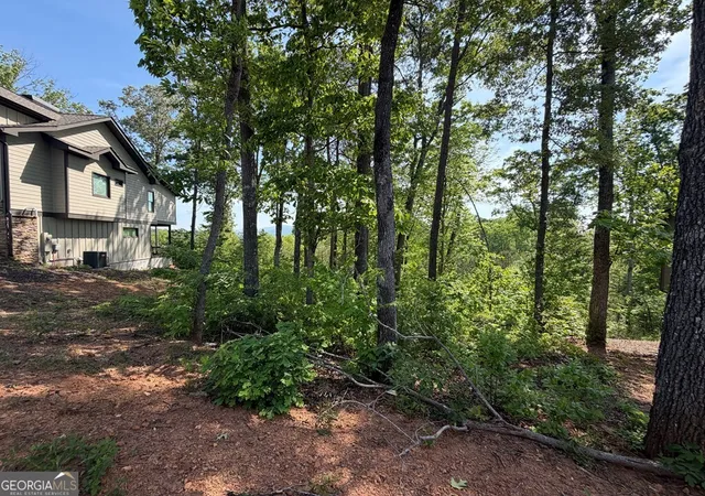 Photo 3 of Land for sale at Lot 31 Summit View Ln, Ellijay, GA 30540 | MLS# 10756806 | Listing updated on 2026-10-15