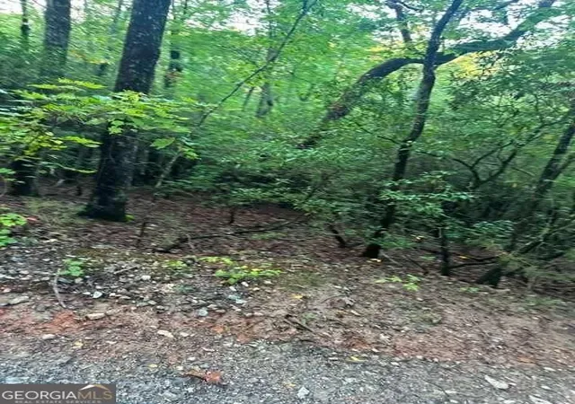 Photo 1 of Land for sale at Lots 3&4 Amicalola Woods Rd, Dawsonville, GA 30534 | MLS# 10872754 | Listing updated on 2026-10-28