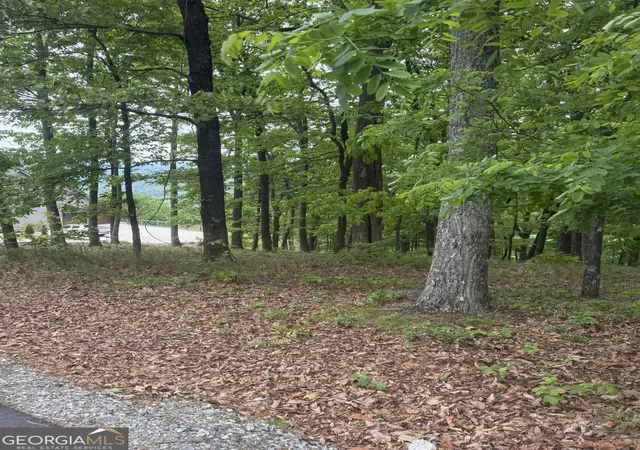 Photo 3 of Land for sale at Lot 38 Mountainside Dr, Cleveland, GA 30528 | MLS# 10753381 | Listing updated on 2026-05-13