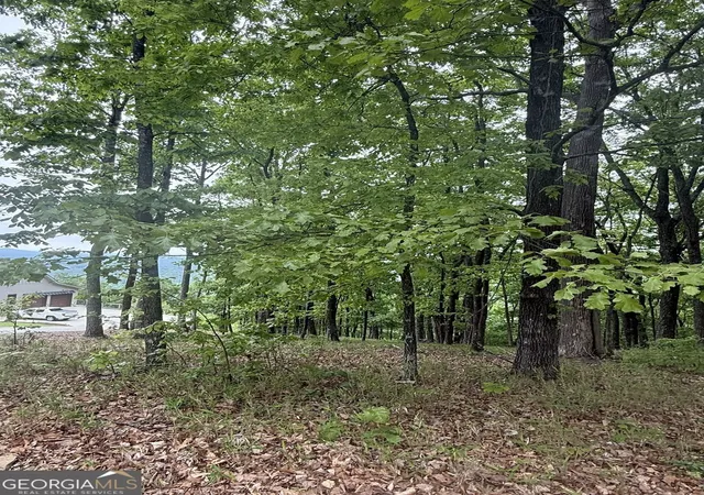 Photo 4 of Land for sale at Lot 38 Mountainside Dr, Cleveland, GA 30528 | MLS# 10753381 | Listing updated on 2026-05-13