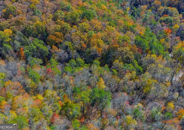 Photo 3 of Land for sale at N/a Willard Mountain Rd, Ellijay, GA 30513 | MLS# 10719300 | Listing updated on 2026-05-02